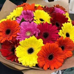 gerberas-bouquet